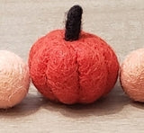 Pumpkin Spice Latte Love PetPoms (multiple accent options)