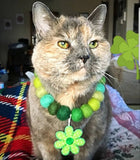 Lucky You Kiwi or Lime Limited PetPoms (multiple options)