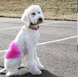 Candy Crush PetPoms