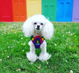 Rainbow Fun Limited PetPoms