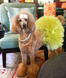 Special Occasion Metallic Mesh Tutus & GlitterPoms Ensembles