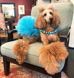 Special Occasion Metallic Mesh Tutus & GlitterPoms Ensembles