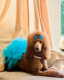 Special Occasion Metallic Mesh Tutus & GlitterPoms Ensembles