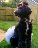 Special Occasion Metallic Mesh Tutus & GlitterPoms Ensembles