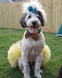 Special Occasion Metallic Mesh Tutus & GlitterPoms Ensembles