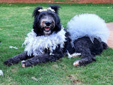Special Occasion Metallic Mesh Tutus & GlitterPoms Ensembles