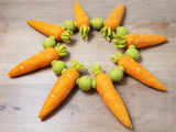 14 Carrot Love PetPoms