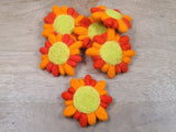 Sunshine Fun PetPoms & Tutu