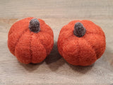 Giant Poms