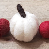 Fall Harvest PetPoms (multiple options)